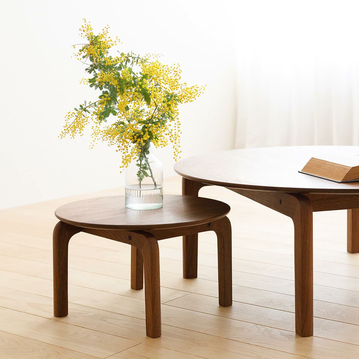 DENTO LISCIO | Circle Low Table 直径42cm (ローテーブル)