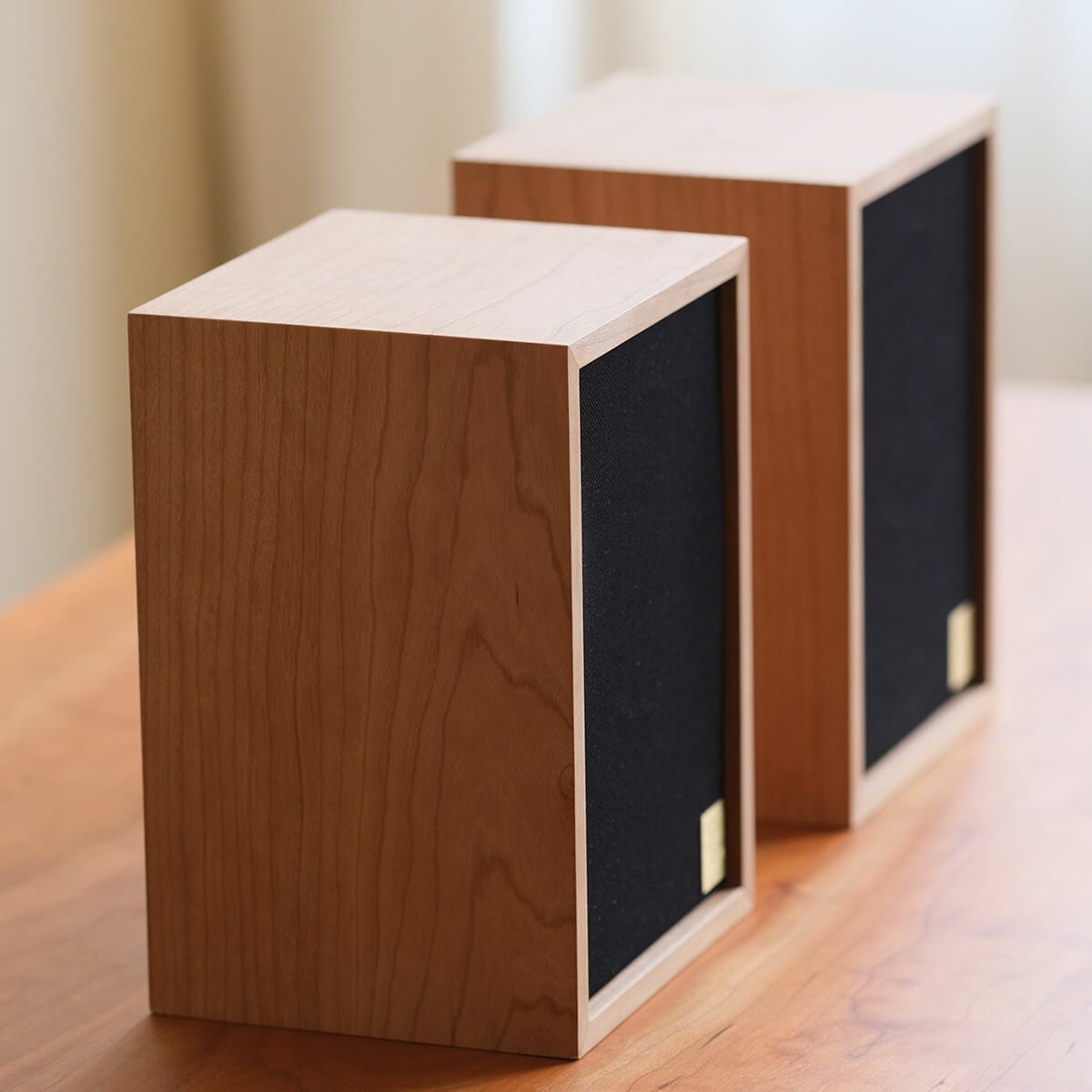 DENTO SSFWA | きほんのスピーカーキット完成品 (2個セット)