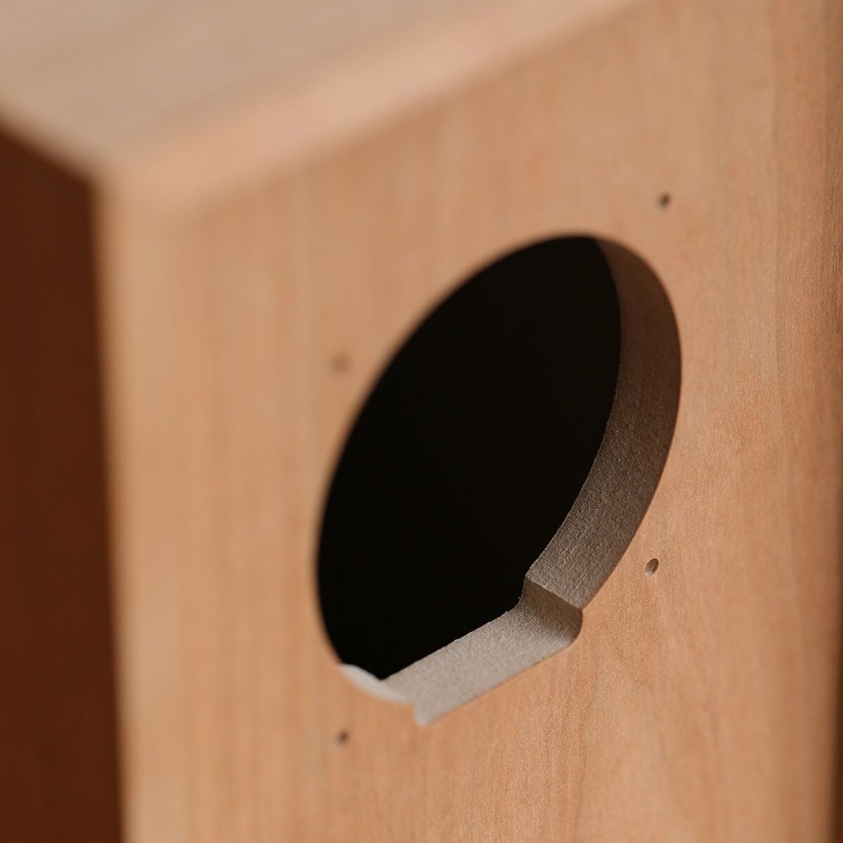 DENTO SSFWA | きほんのスピーカーキット完成品 (2個セット)