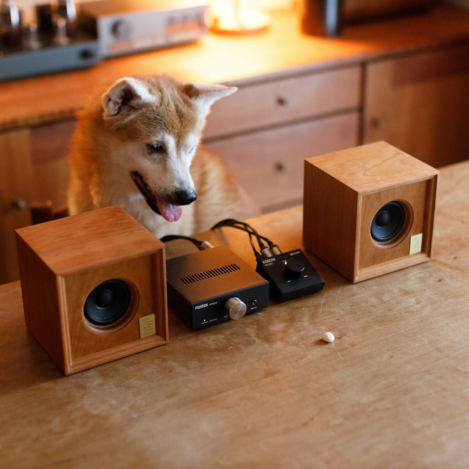 DENTO SSFWA | Little Speaker / classic (2個セット)