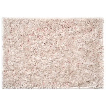 BRID SECTION COLOR RUG 50×70