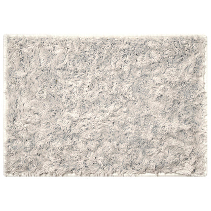 BRID SECTION COLOR RUG 50×70