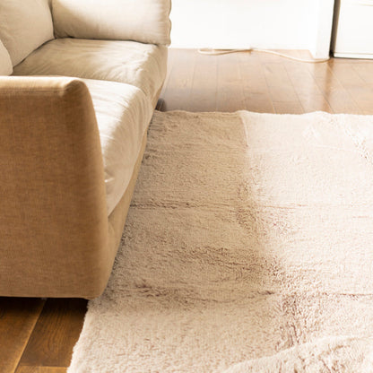 BRID SECTION COLOR RUG 200×200