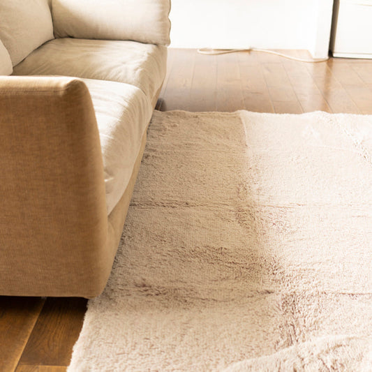 BRID SECTION COLOR RUG 200×200