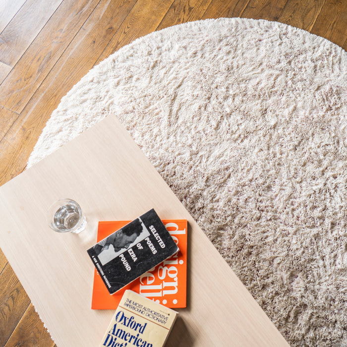 BRID SECTION COLOR RUG ф150