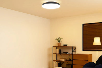 SWAN LIGHTING TAIRA (ACE-175)
