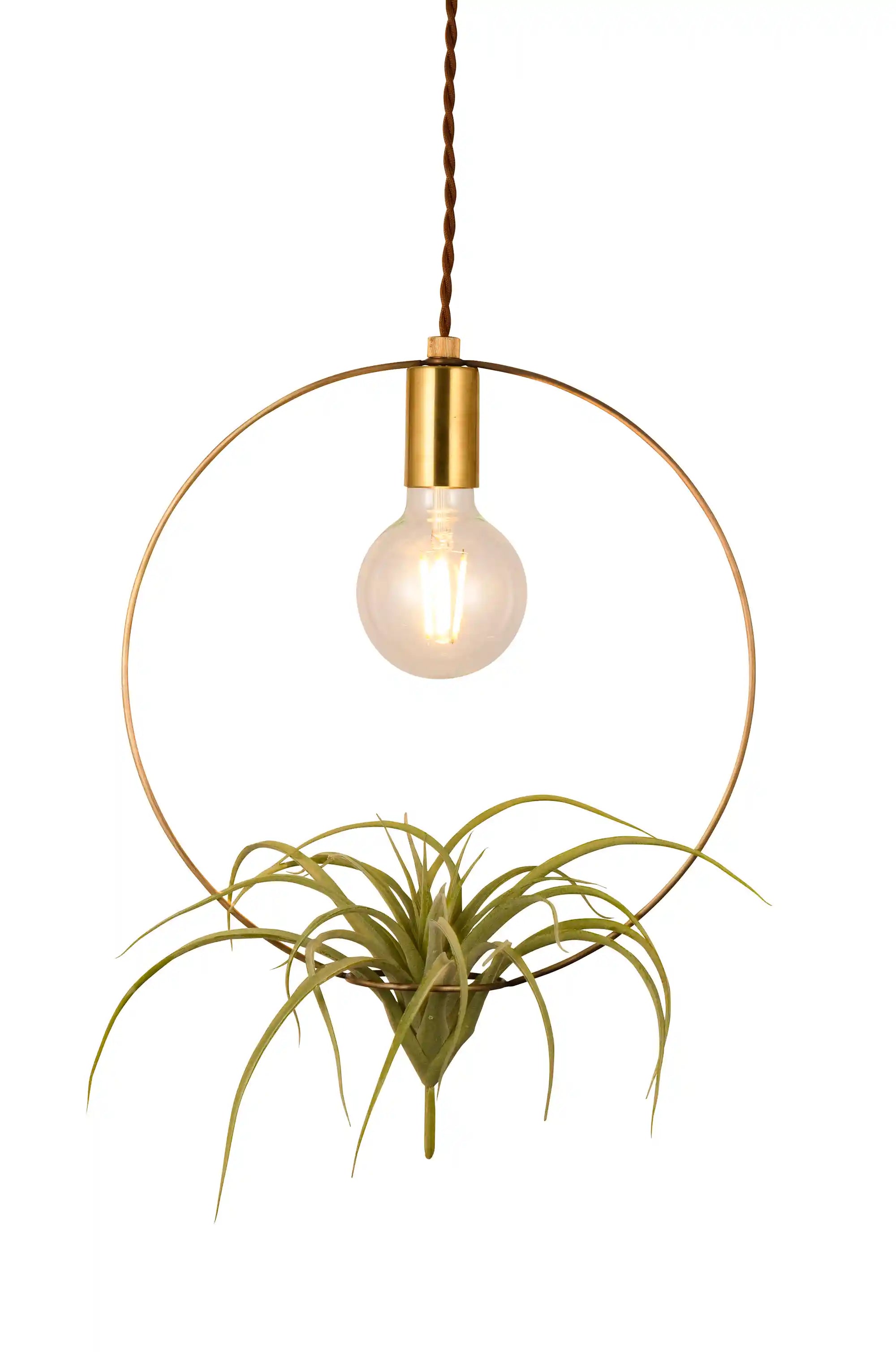 スワン電器 – YUKICH LIVING SHOP