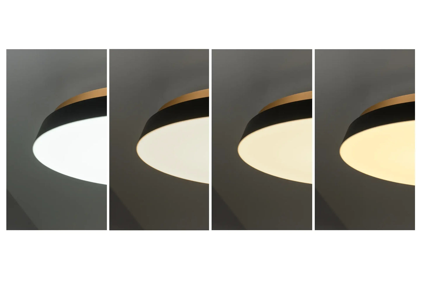 SWAN LIGHTING TAIRA (ACE-175)