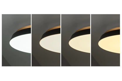 SWAN LIGHTING TAIRA (ACE-175)