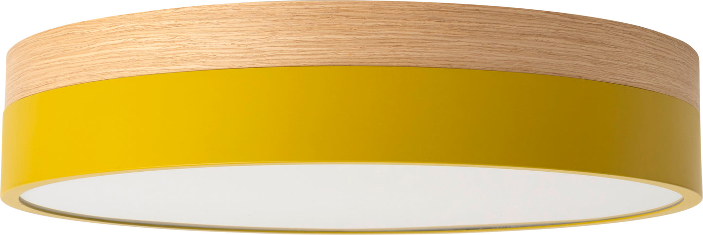 BRID Olika LED CEILING LIGHT Ver.2