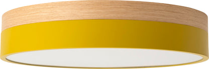 BRID Olika LED CEILING LIGHT Ver.2