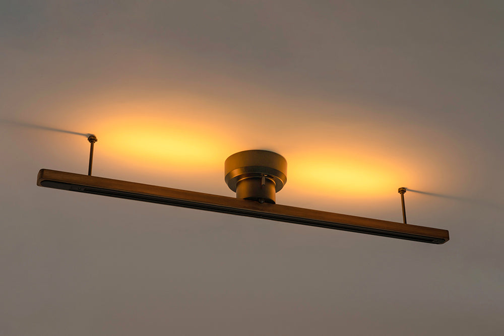 BRID LIGHTING DUCT RAIL with LED