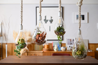SWAN LIGHTING BOTANIC HANGING LIGHT with FAKEGREEN