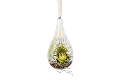 SWAN LIGHTING BOTANIC HANGING LIGHT with FAKEGREEN