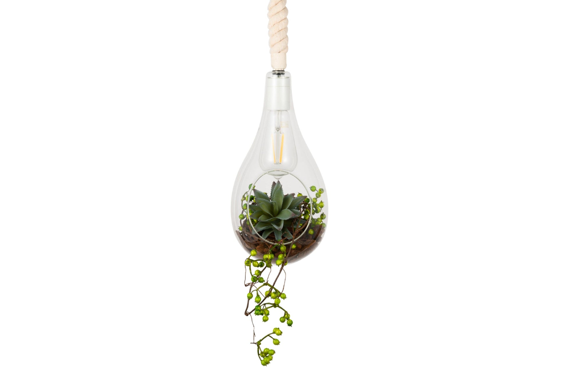 SWAN LIGHTING BOTANIC HANGING LIGHT with FAKEGREEN