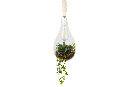 SWAN LIGHTING BOTANIC HANGING LIGHT with FAKEGREEN