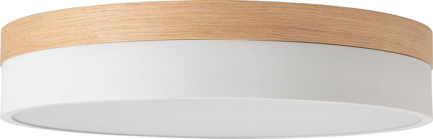 BRID Olika LED CEILING LIGHT Ver.2