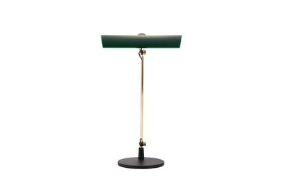 SWAN LIGHTING EXARM LEX-1100 “NY”