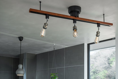 BRID LIGHTING DUCT RAIL with LED