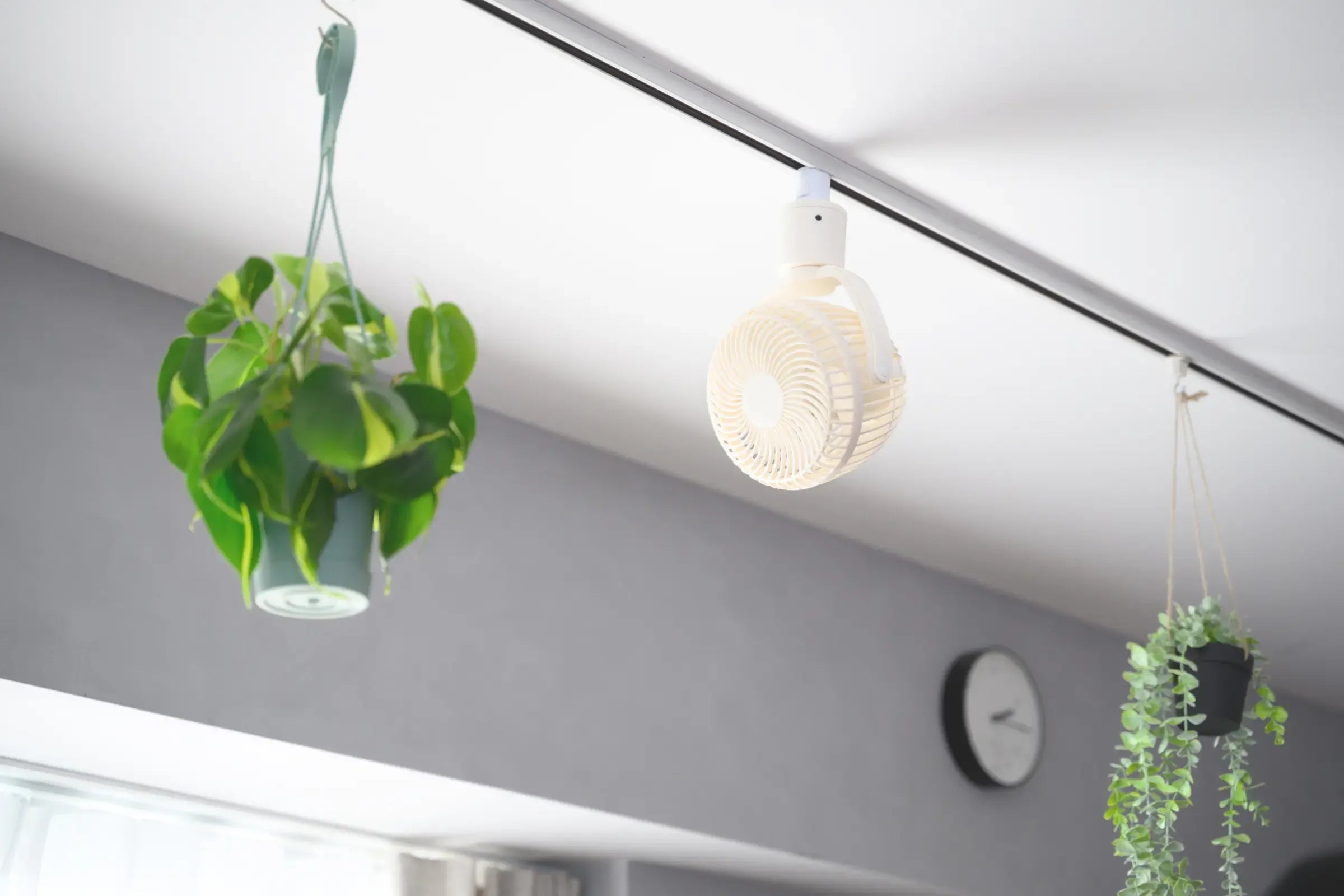Green Interior