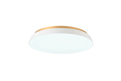 SWAN LIGHTING TAIRA (ACE-175)
